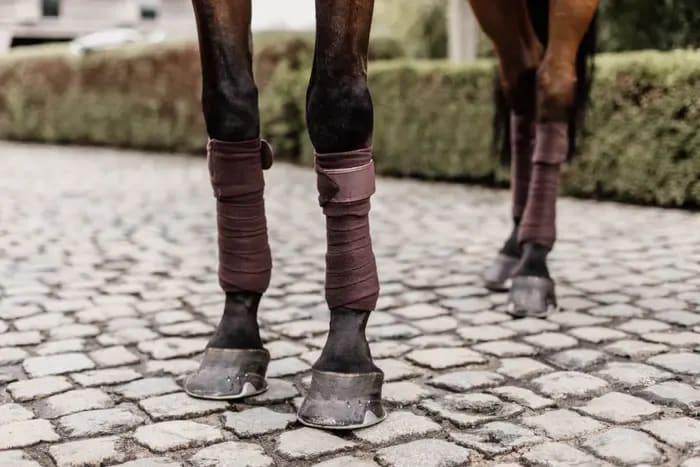 Kentucky Polar Fleece Bandage - Løwenborg - Kentucky Horsewear