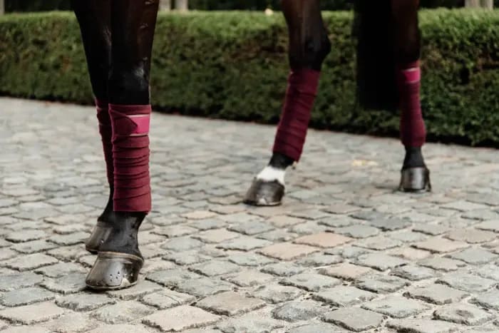 Kentucky Polar Fleece Bandage - Løwenborg - Kentucky Horsewear
