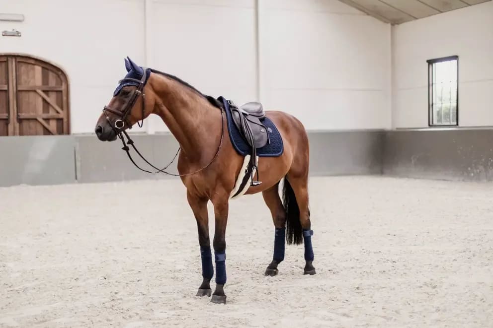 Kentucky Saddle Pad Glitter Rope Jumping - Løwenborg - Kentucky Horsewear
