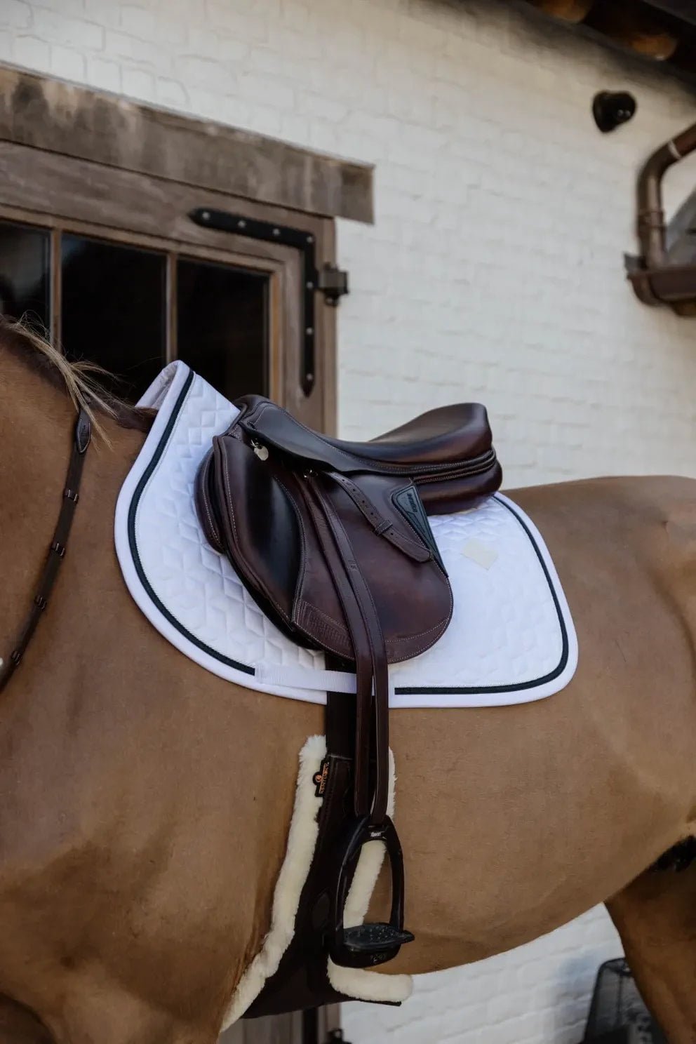 Kentucky Saddle Pad Glitter Rope Jumping - Løwenborg - Kentucky Horsewear