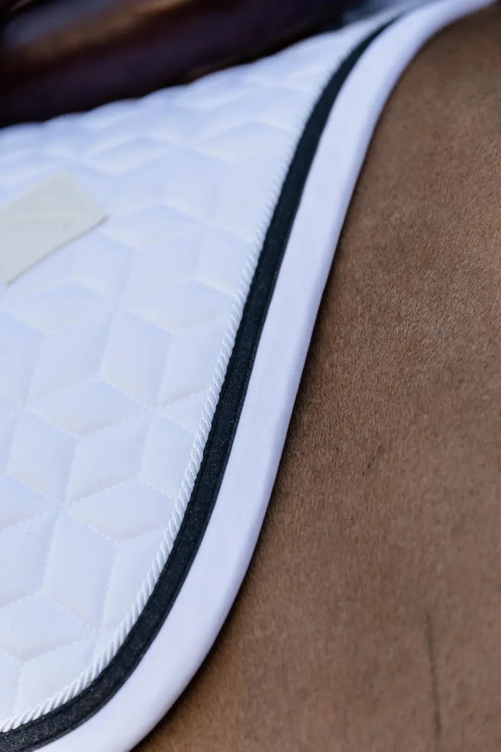 Kentucky Saddle Pad Glitter Rope Jumping - Løwenborg - Kentucky Horsewear