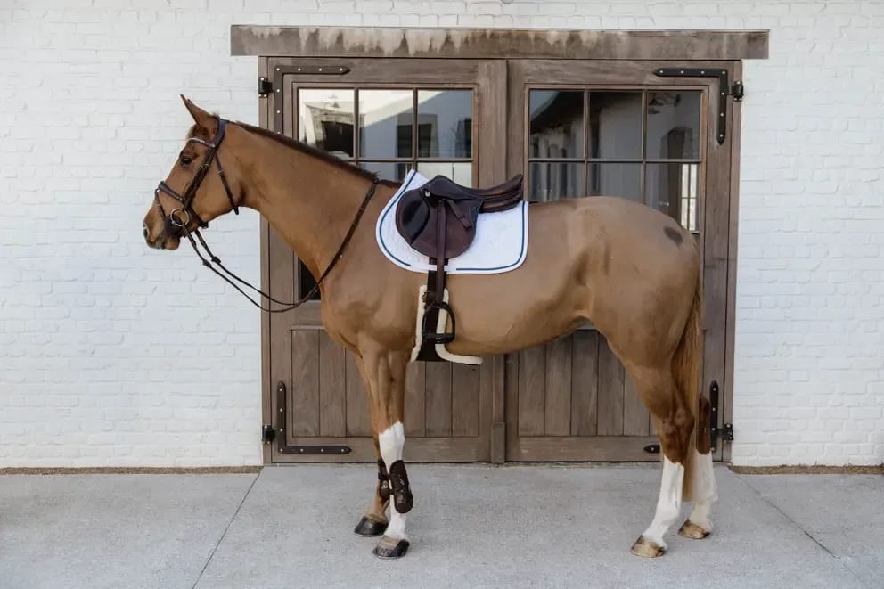 Kentucky Saddle Pad Glitter Rope Jumping - Løwenborg - Kentucky Horsewear