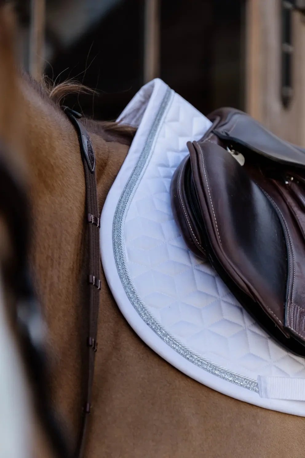 Kentucky Saddle Pad Glitter Rope Jumping - Løwenborg - Kentucky Horsewear