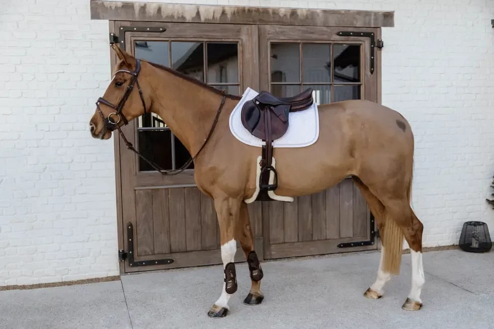 Kentucky Saddle Pad Glitter Rope Jumping - Løwenborg - Kentucky Horsewear