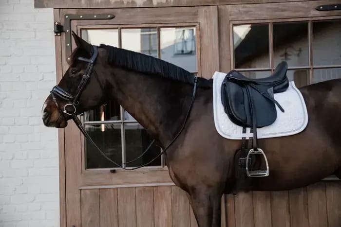 Kentucky Saddle Pad Glitter Rope Dressage - Løwenborg - Kentucky Horsewear