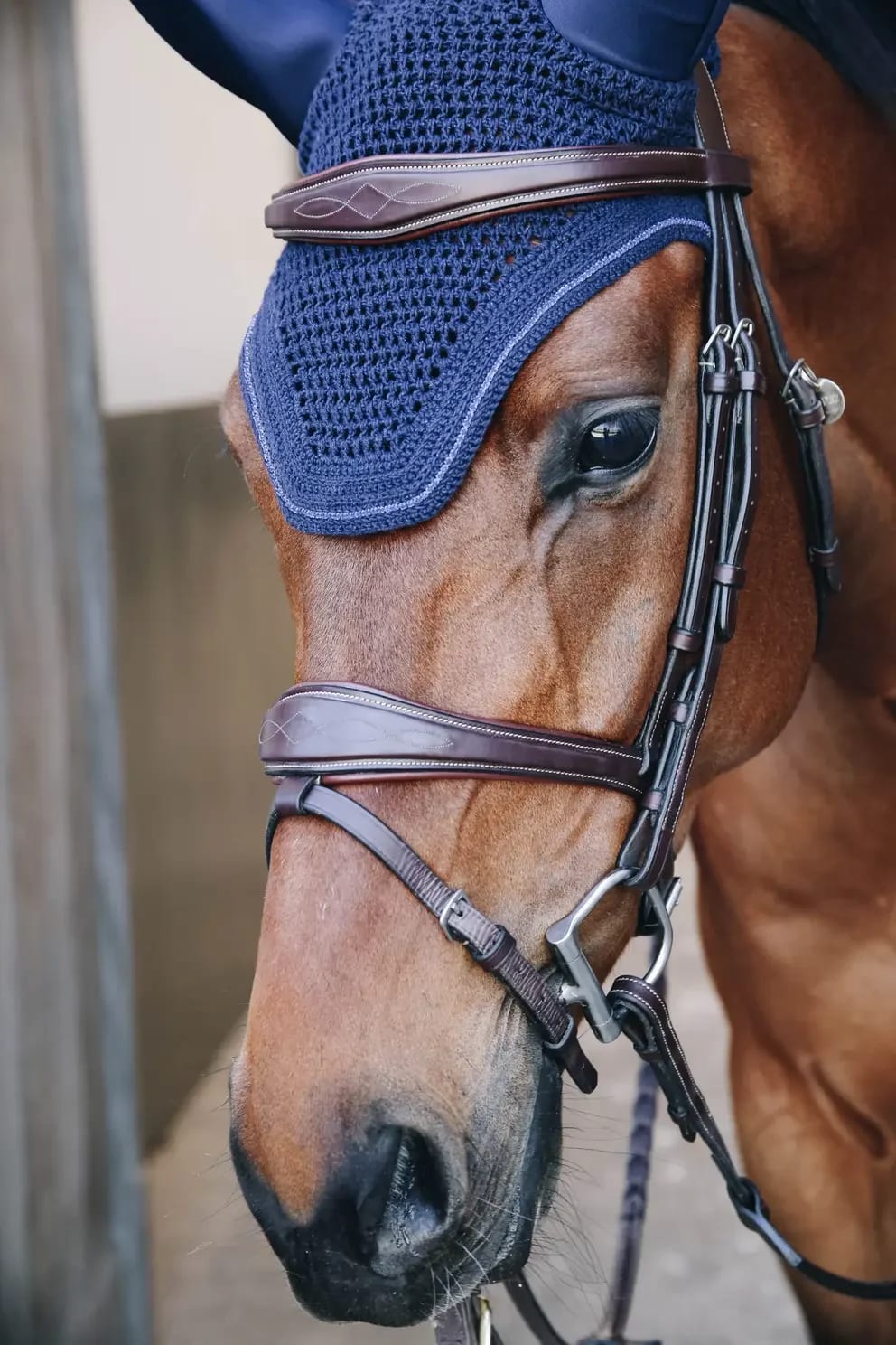Kentucky Fly veil Wellington Sparkeling - Løwenborg - Kentucky Horsewear
