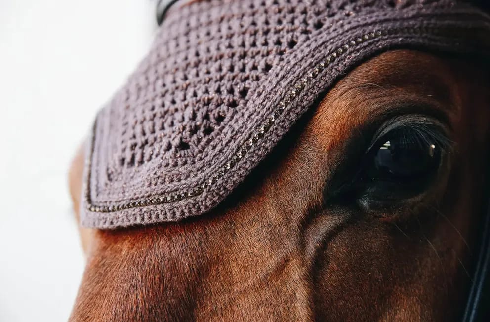 Kentucky Fly veil Wellington Sparkeling - Løwenborg - Kentucky Horsewear