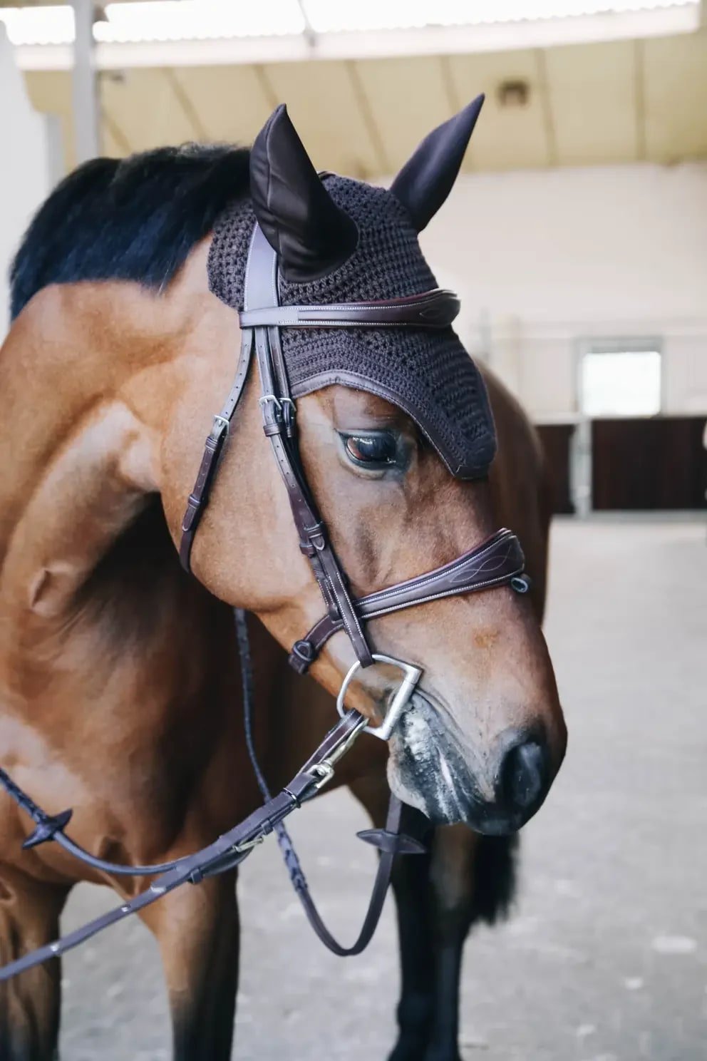 Kentucky Fly veil Wellington Leather - Løwenborg - Kentucky Horsewear