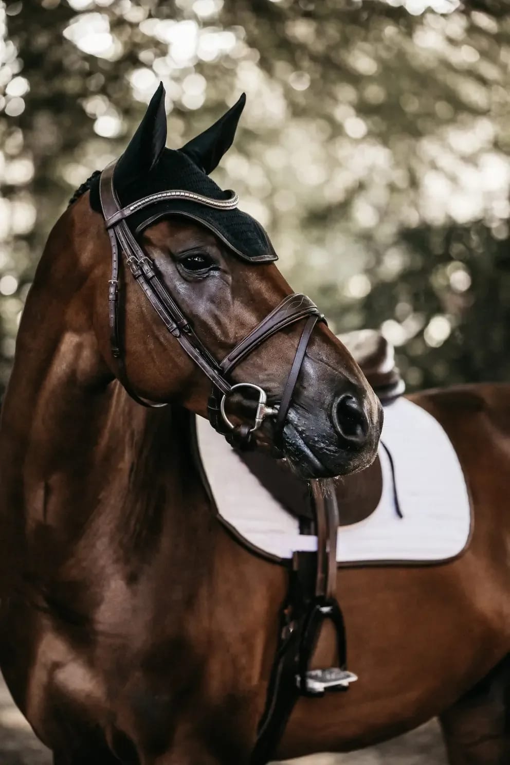 Kentucky Fly veil Wellington Leather - Løwenborg - Kentucky Horsewear