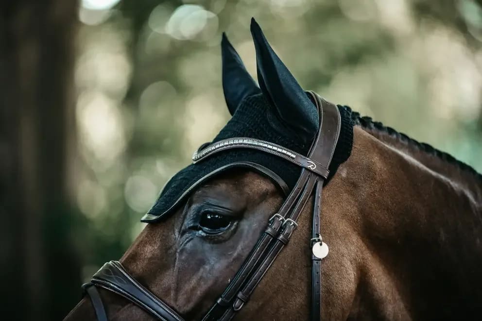 Kentucky Fly veil Wellington Leather - Løwenborg - Kentucky Horsewear