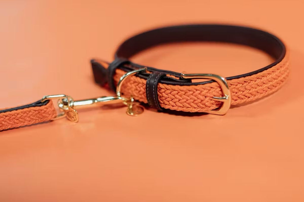 Kentucky Plaited Nylon Dog Collar - Løwenborg - Kentucky Dogwear