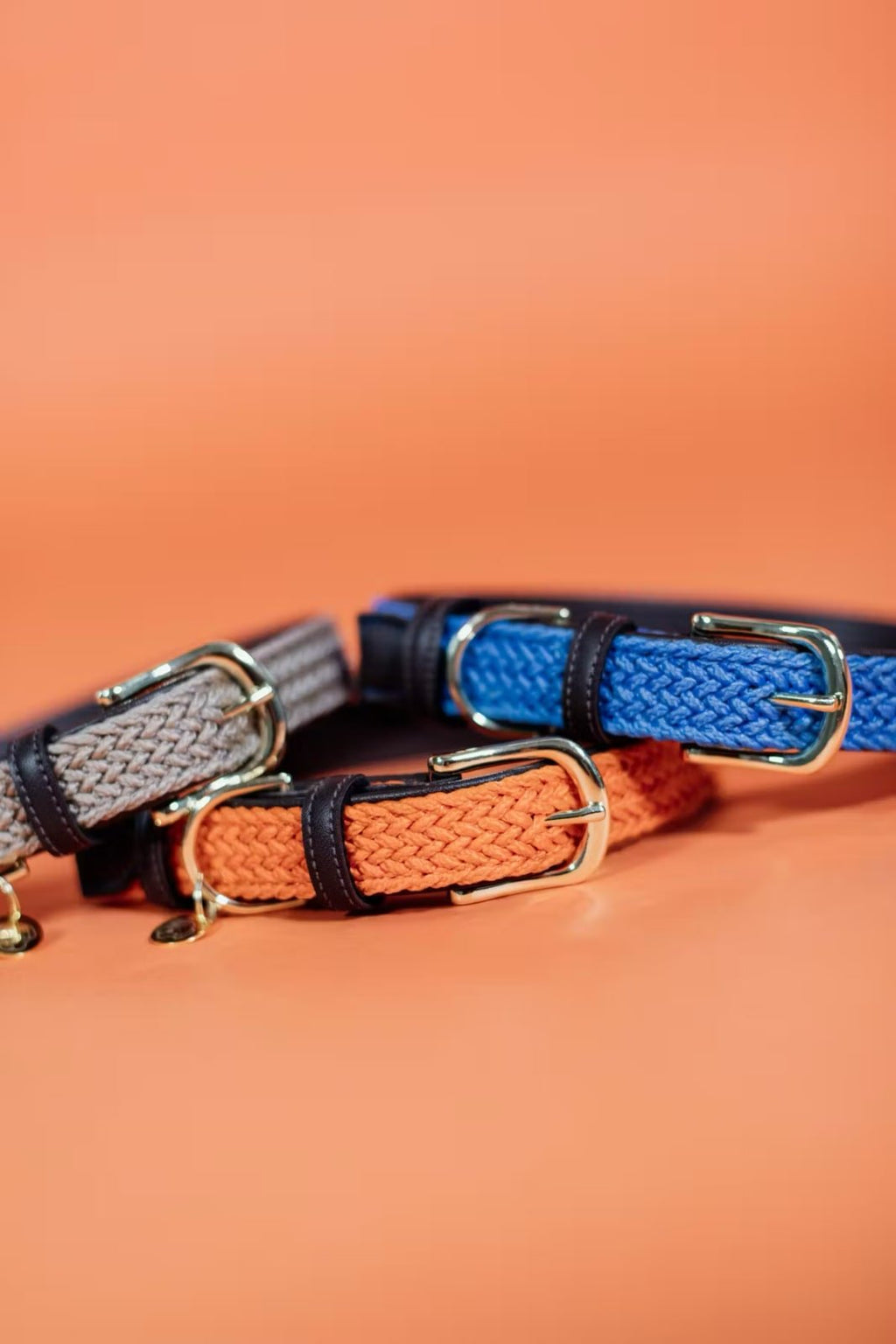 Kentucky Plaited Nylon Dog Collar - Løwenborg - Kentucky Dogwear