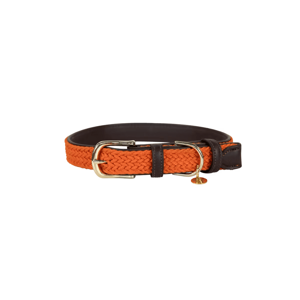 Kentucky Plaited Nylon Dog Collar - Løwenborg - Kentucky Dogwear