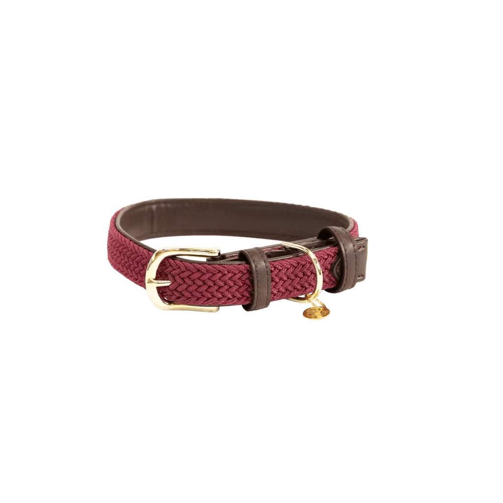Kentucky Plaited Nylon Dog Collar - Løwenborg - Kentucky Dogwear