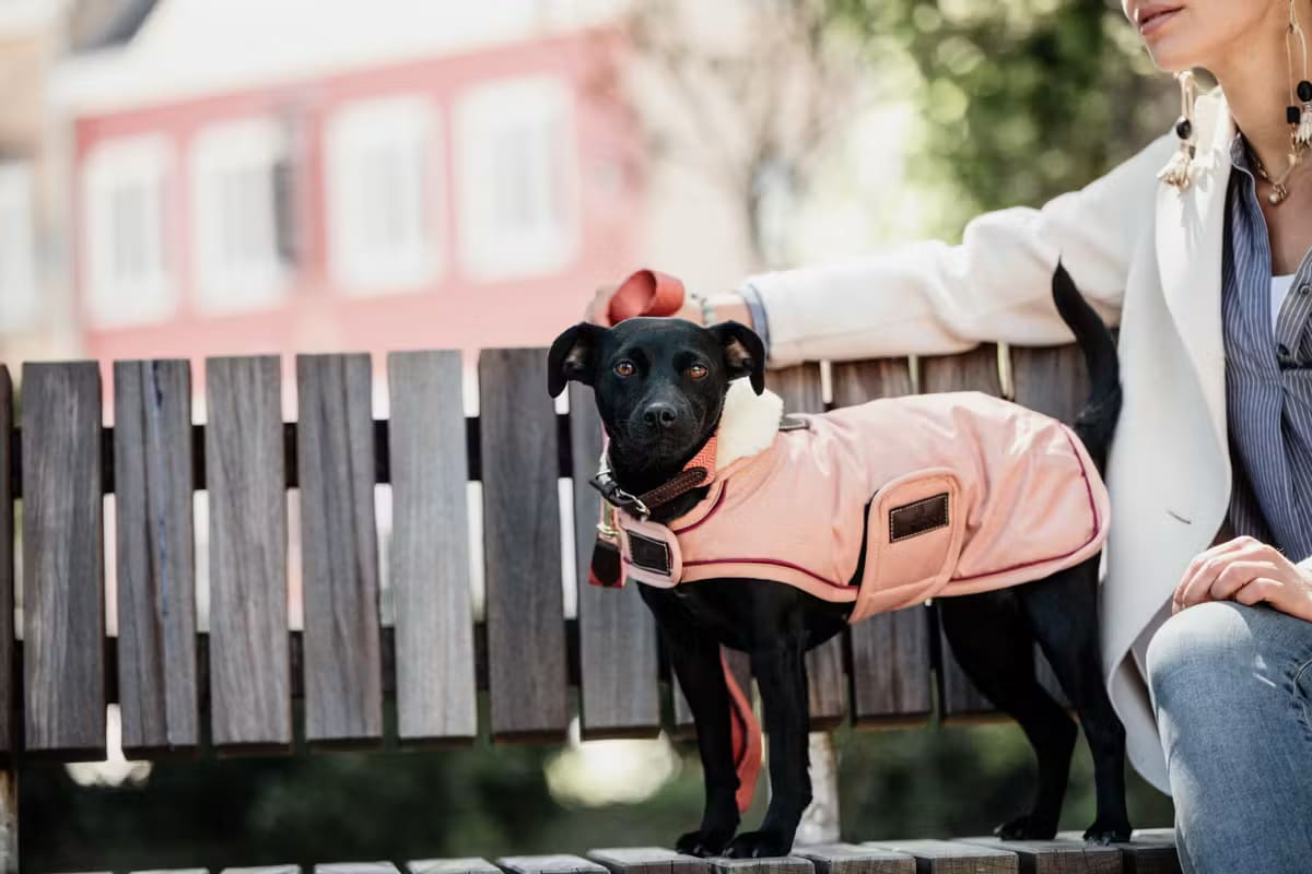 Kentucky Dog Coat Waterproof