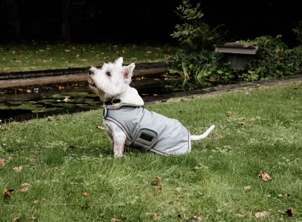 Kentucky Dog Coat Waterproof - Løwenborg - Kentucky Dogwear