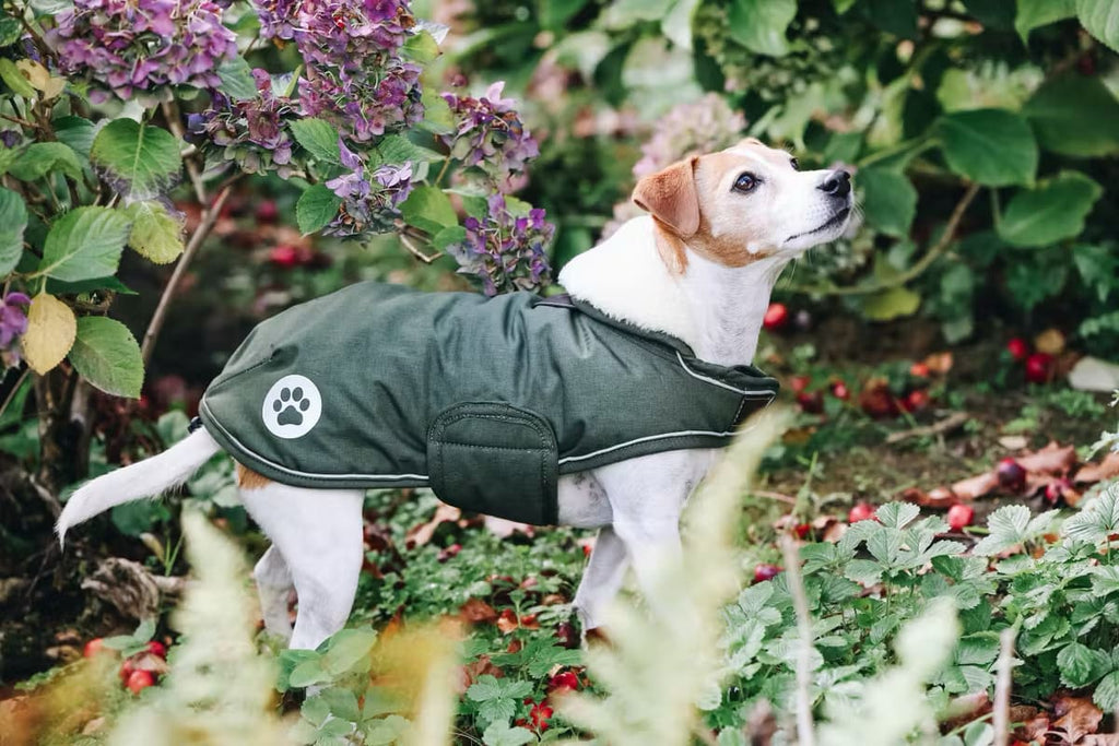 Kentucky Dog Coat Waterproof - Løwenborg - Kentucky Dogwear