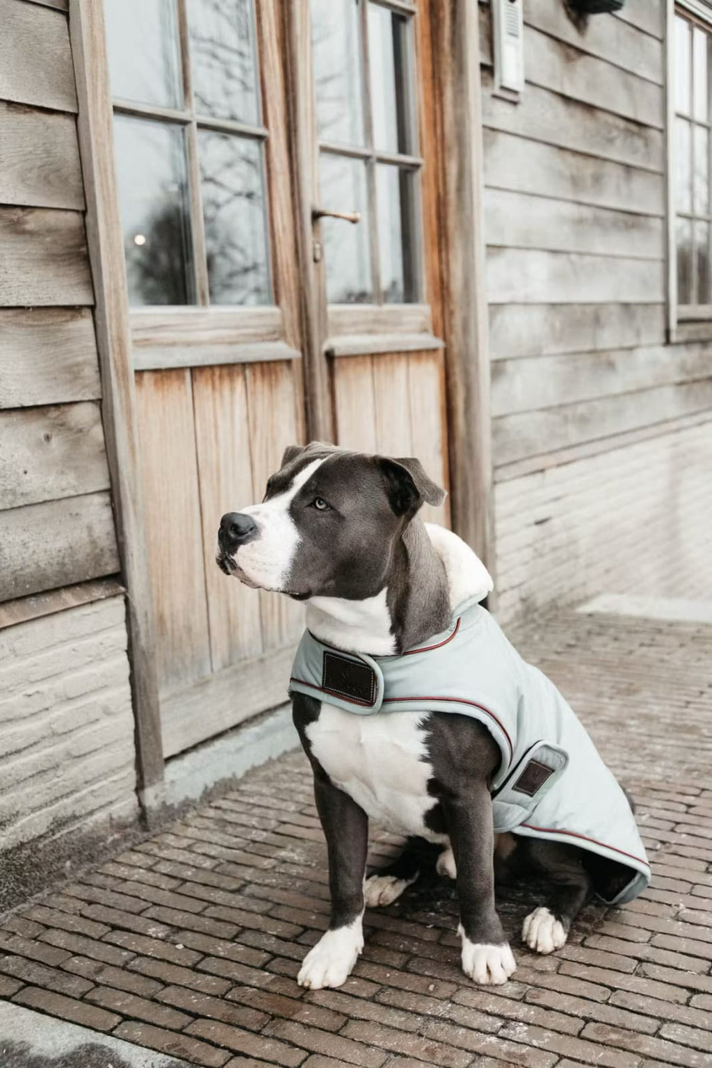 Kentucky Dog Coat Waterproof - Løwenborg - Kentucky Dogwear