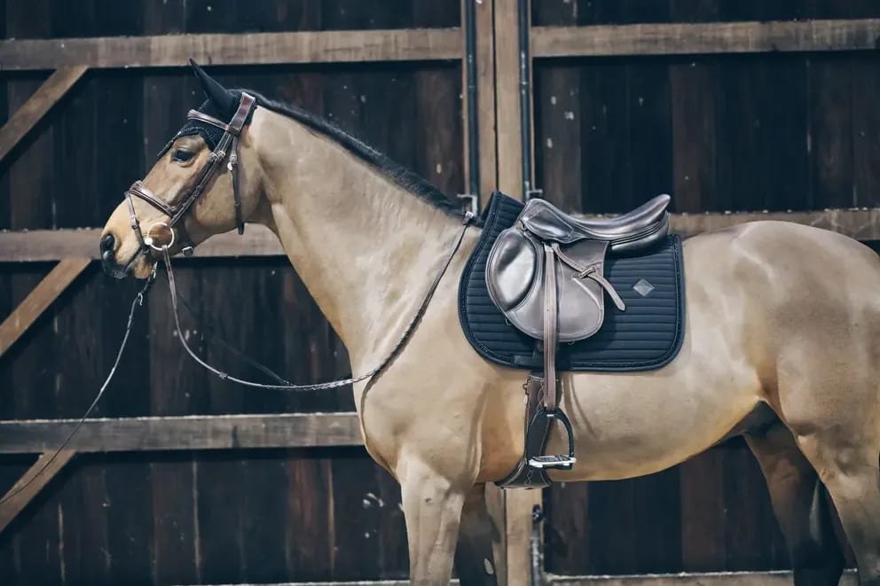 Kentucky Saddle Pad Pearls Jumping - Løwenborg - Kentucky Horsewear