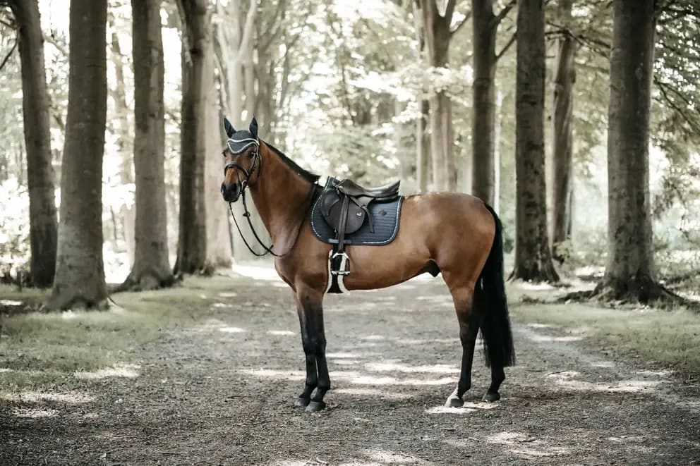 Kentucky Saddle Pad Pearls Jumping - Løwenborg - Kentucky Horsewear