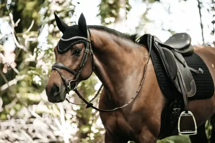 Kentucky Saddle Pad Pearls Dressage - Løwenborg - Kentucky Horsewear