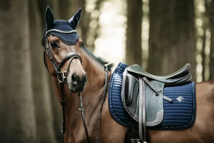 Kentucky Saddle Pad Pearls Dressage - Løwenborg - Kentucky Horsewear