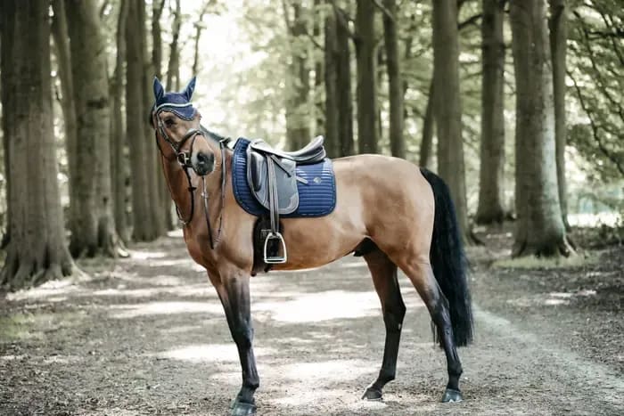Kentucky Saddle Pad Pearls Dressage - Løwenborg - Kentucky Horsewear
