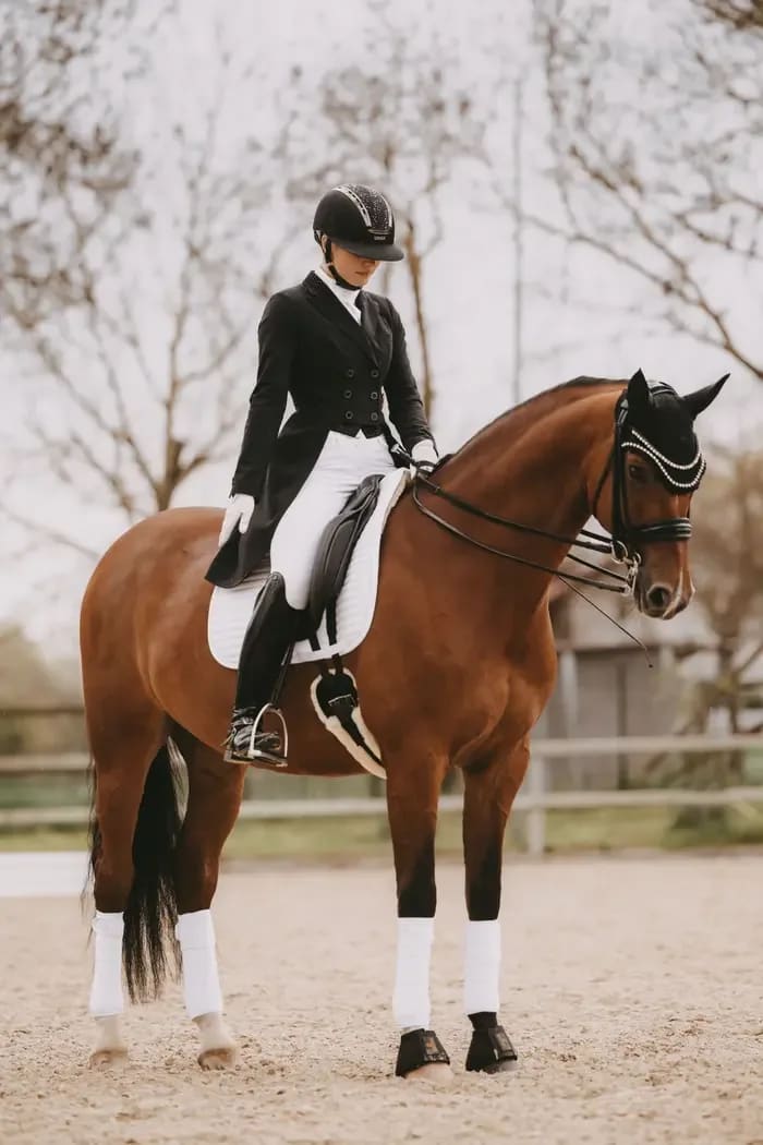Kentucky Saddle Pad Pearls Dressage - Løwenborg - Kentucky Horsewear
