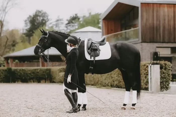 Kentucky Saddle Pad Pearls Dressage - Løwenborg - Kentucky Horsewear