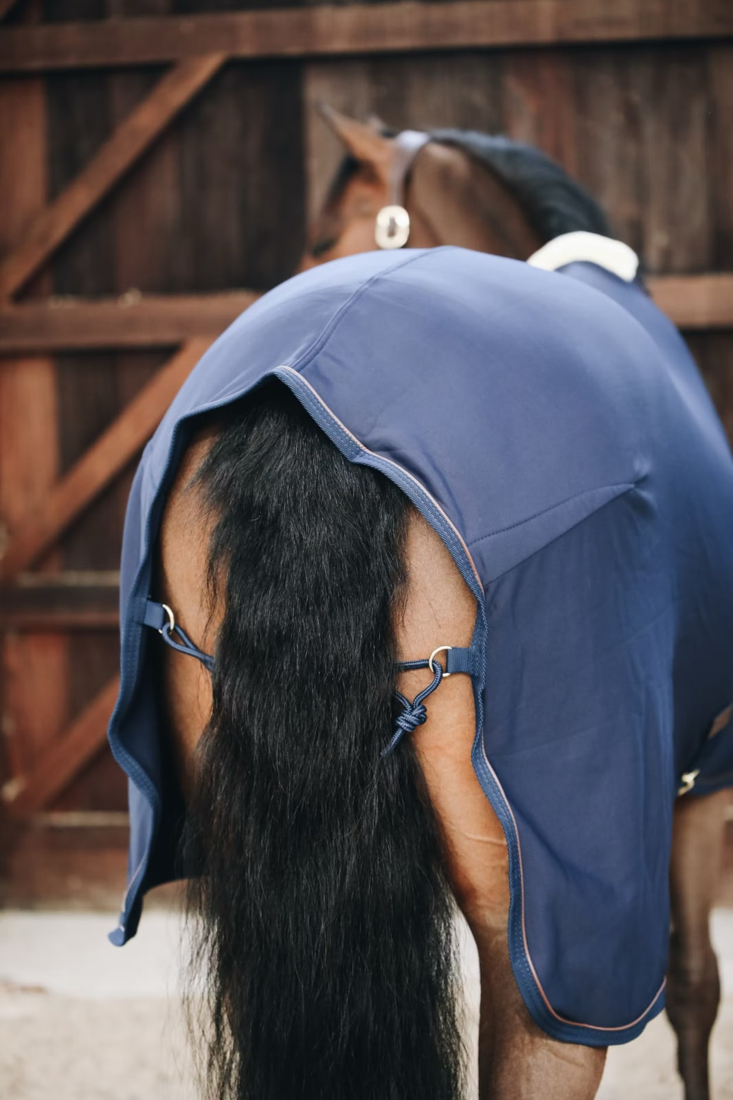Kentucky Cooler Fleece Rug - Løwenborg - Kentucky Horsewear