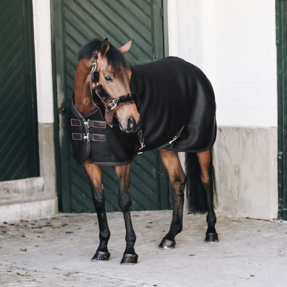 Kentucky 3D Spacer Cooler Fleece Sheet - Løwenborg - Kentucky Horsewear