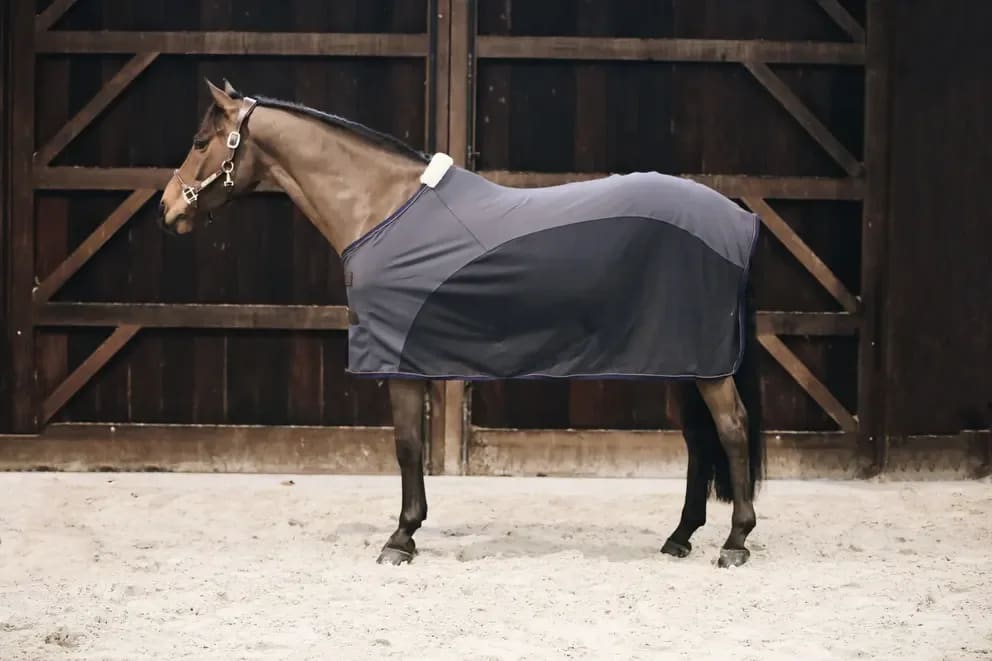 Kentucky Softshell Cooler Sheet - Løwenborg - Kentucky Horsewear