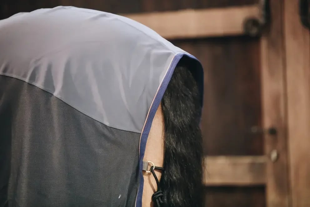 Kentucky Softshell Cooler Sheet