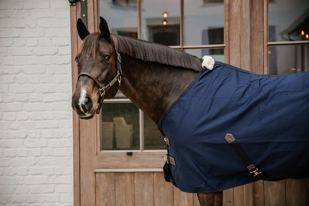 Kentucky Cotton Sheet - Løwenborg - Kentucky Horsewear