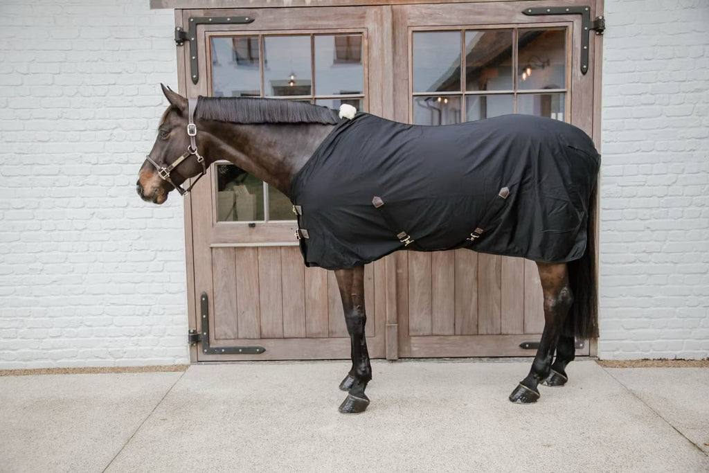 Kentucky Cotton Sheet - Løwenborg - Kentucky Horsewear