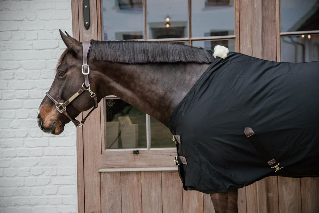 Kentucky Cotton Sheet - Løwenborg - Kentucky Horsewear