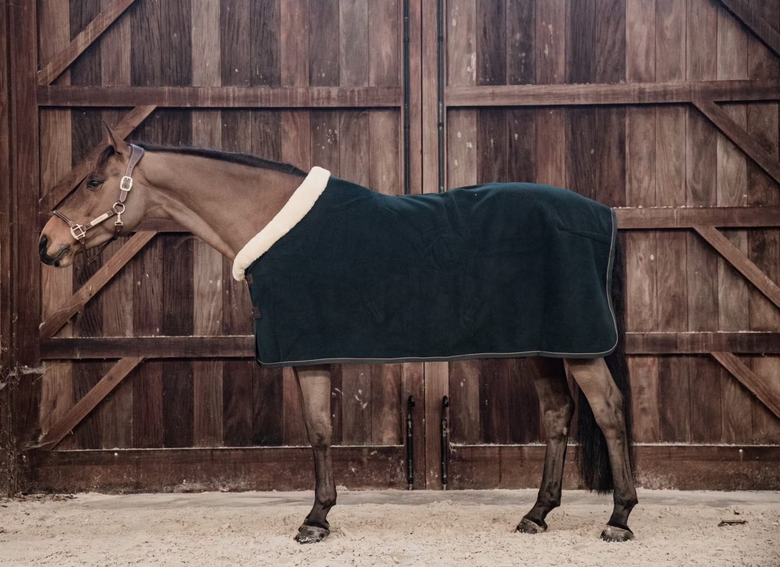Kentucky Heavy Fleece Show Rug - Løwenborg - Kentucky Horsewear