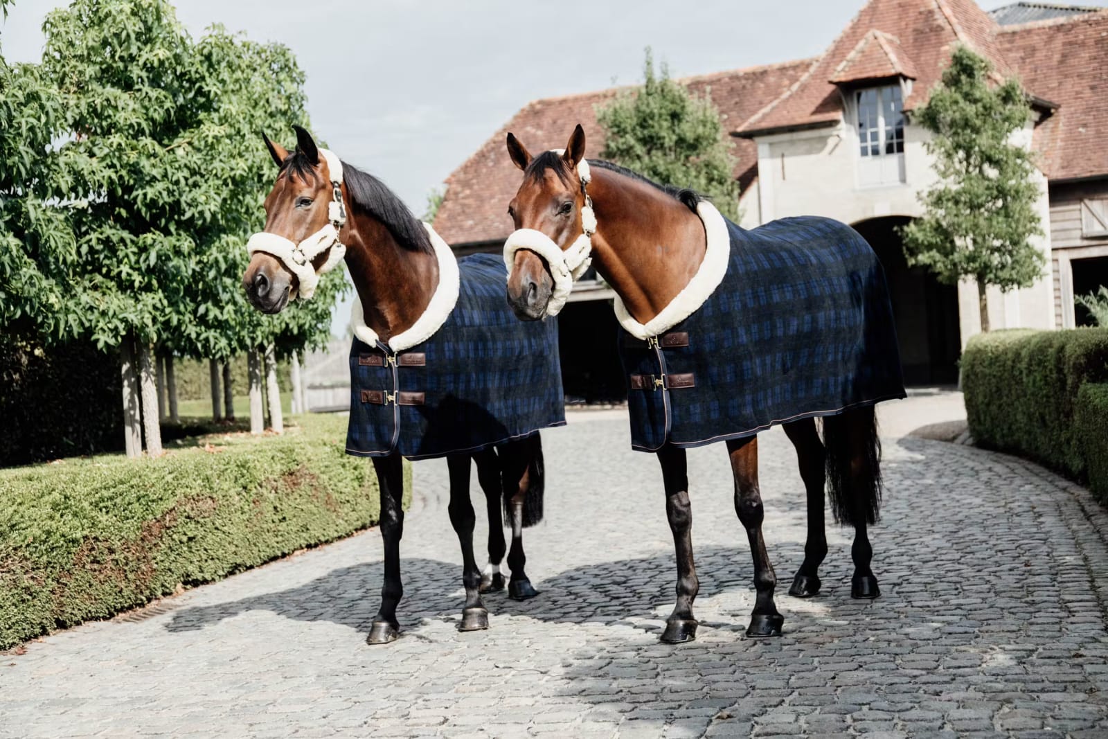 Kentucky Heavy Fleece Show Rug - Løwenborg - Kentucky Horsewear
