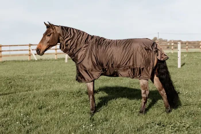 Kentucky Turnout Rug All Weather Waterproof Pro - Løwenborg - Kentucky Horsewear