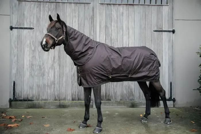 Kentucky Turnout Rug All Weather Waterproof Pro - Løwenborg - Kentucky Horsewear
