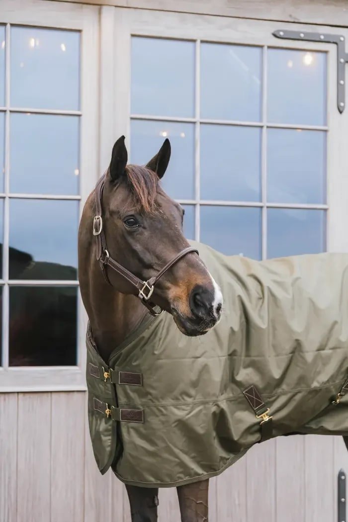 Kentucky Turnout Rug All Weather Waterproof Pro - Løwenborg - Kentucky Horsewear