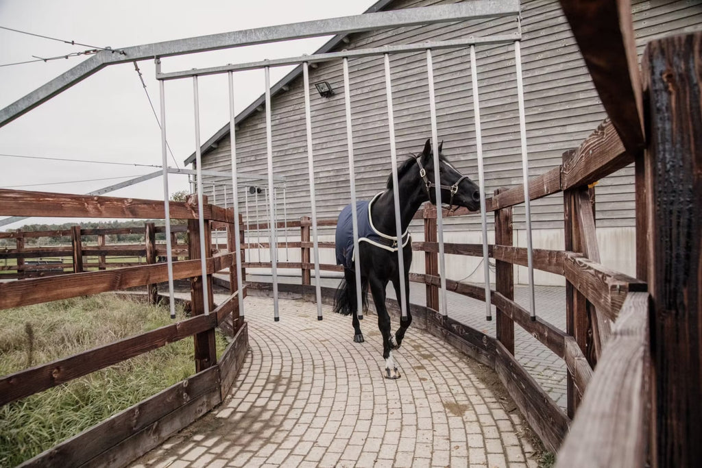 Kentucky Walker Rug Waterproof - Løwenborg - Kentucky Horsewear