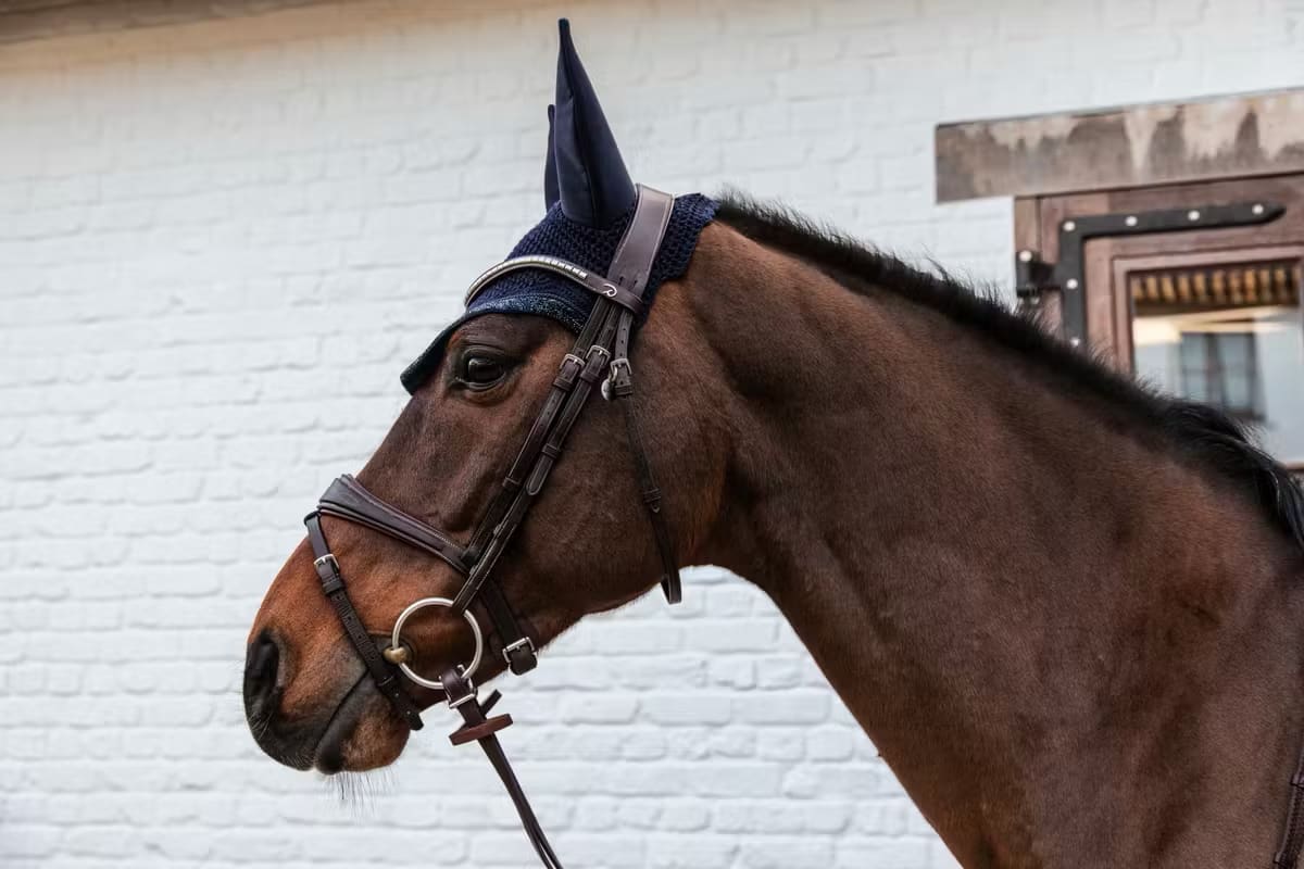 Kentucky Fly Veil Wellington Glitter Stone - Løwenborg - Kentucky Horsewear