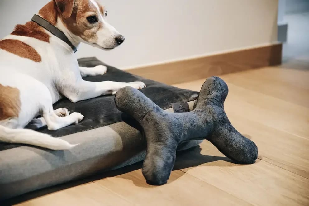 Kentucky Dog Toy Bone - Løwenborg - Kentucky Dogwear