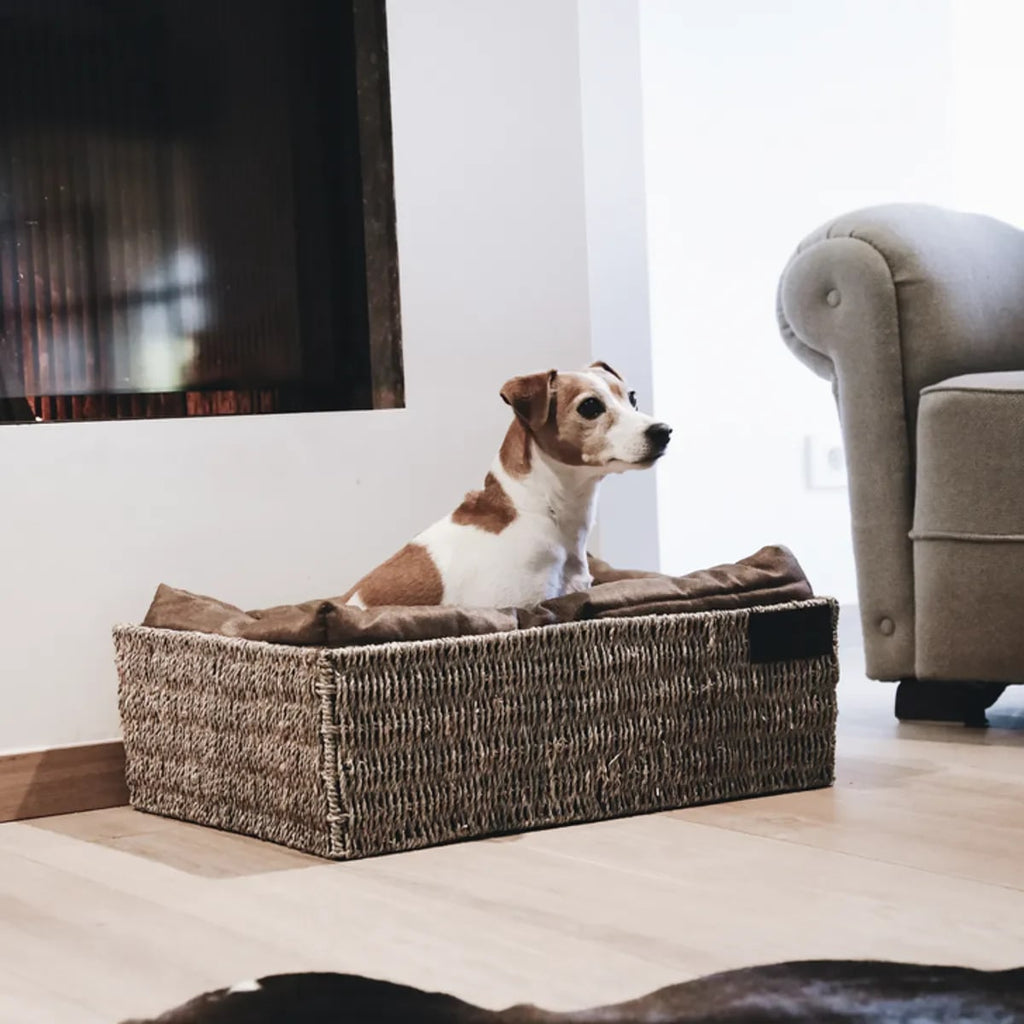 Kentucky Dog Bed Basket - Løwenborg - Kentucky Dogwear