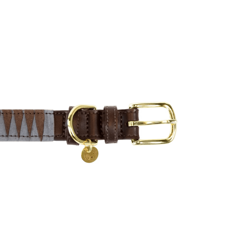 Kentucky Dog Collar Triagle - Løwenborg - Kentucky Dogwear