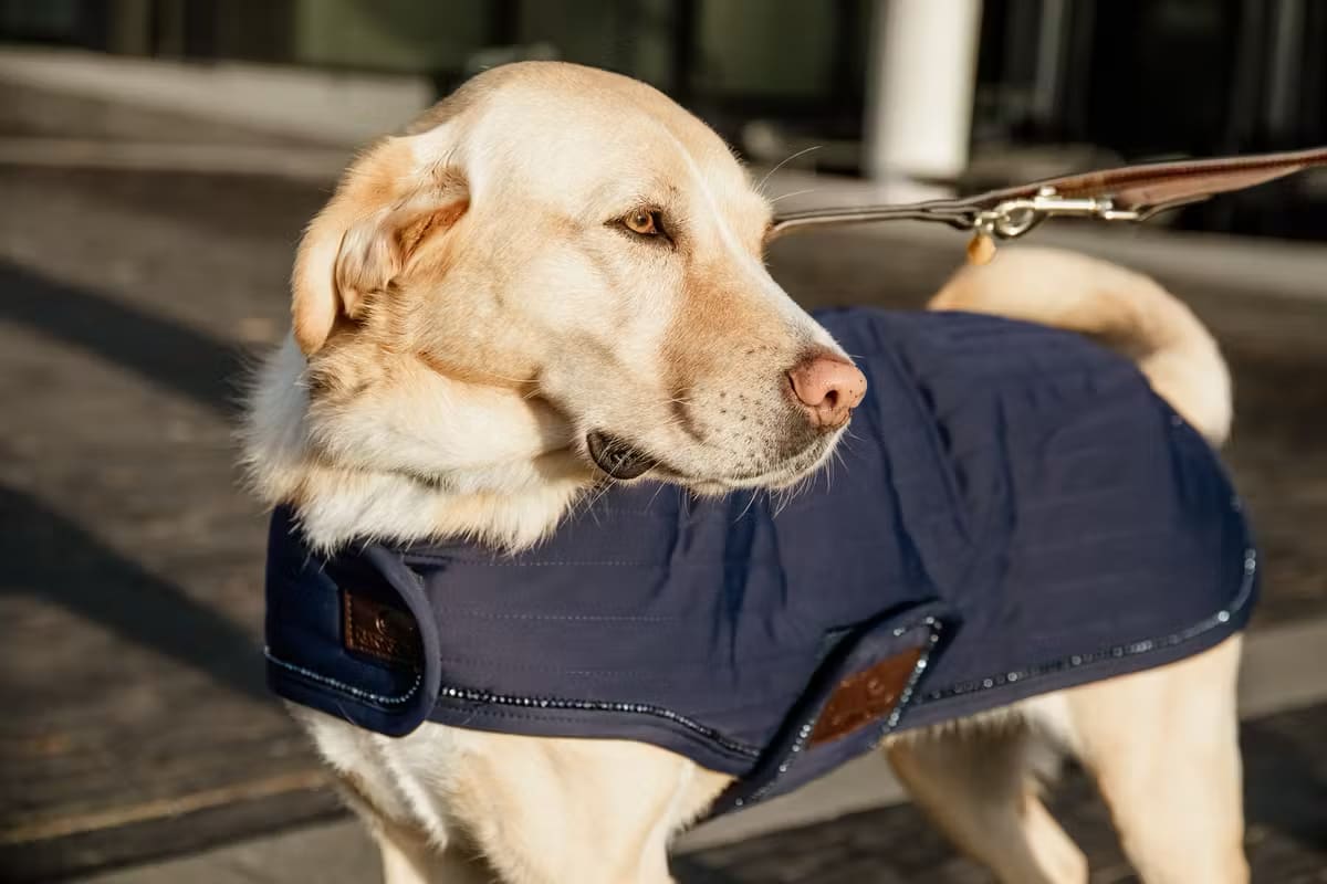 Kentucky Dog Coat Pearls