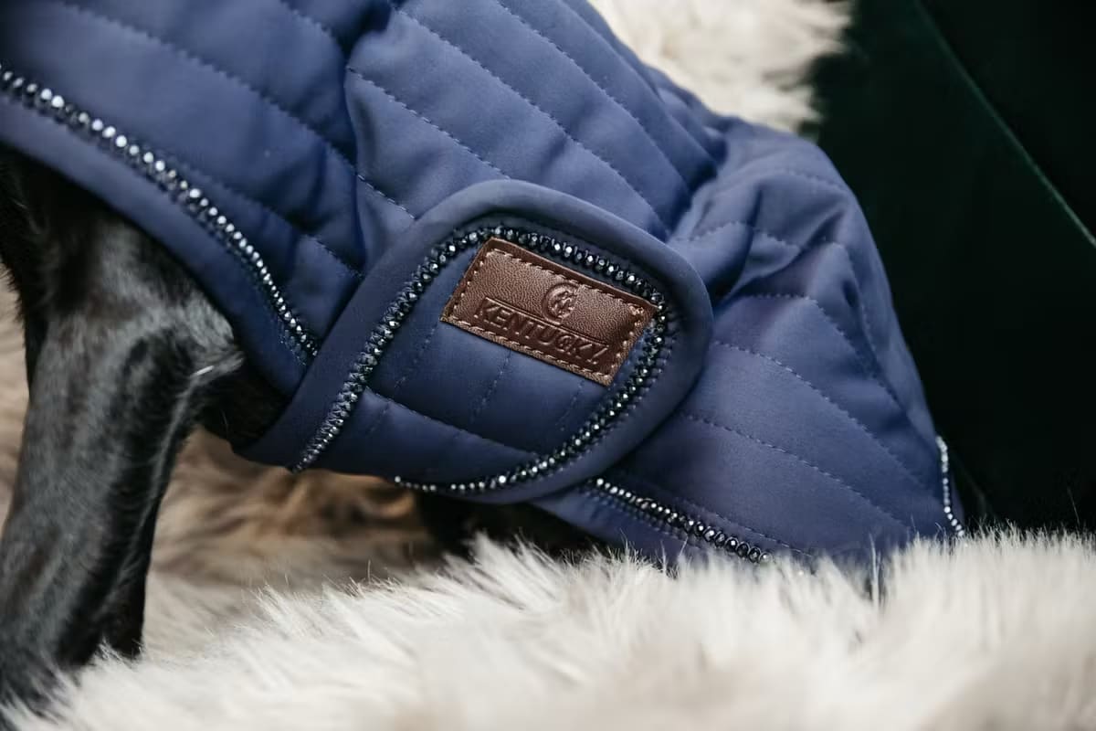 Kentucky Dog Coat Pearls