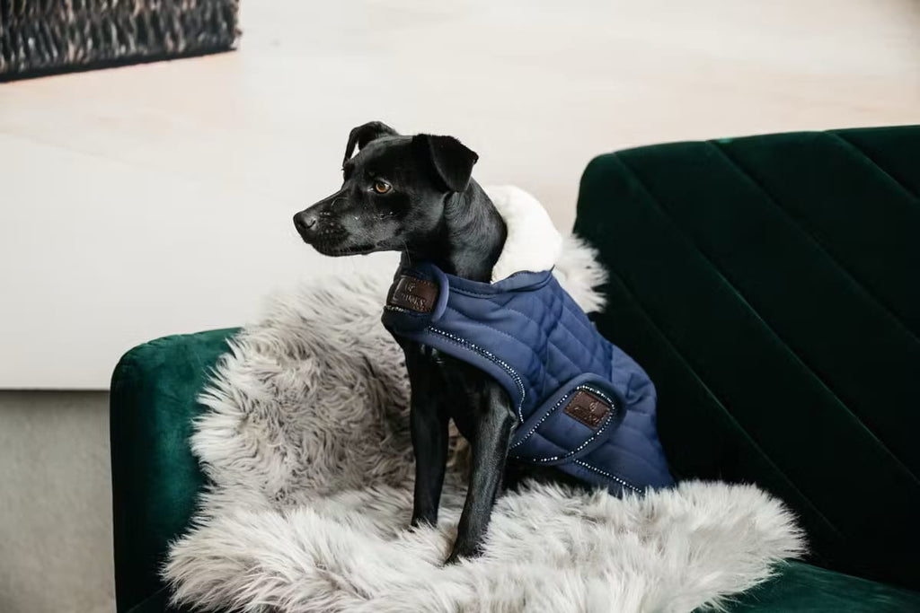 Kentucky Dog Coat Pearls - Løwenborg - Kentucky Dogwear