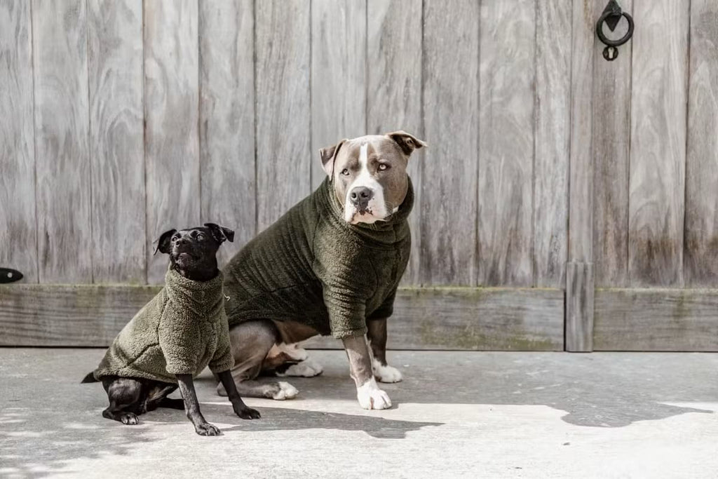 Kentucky Dog Sweater Teddy Fleece - Løwenborg - Kentucky Dogwear